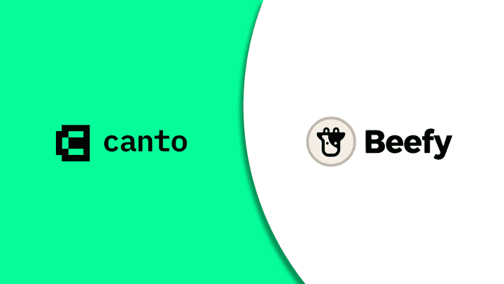 beefy canto header